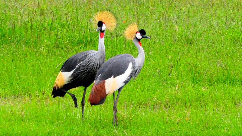 Melanie Heinrich Travel Images Africa